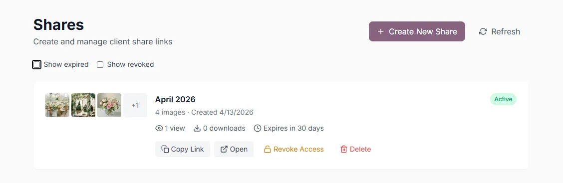 Shares dashboard showing an active share link with view count, download count, expiration, and management actions