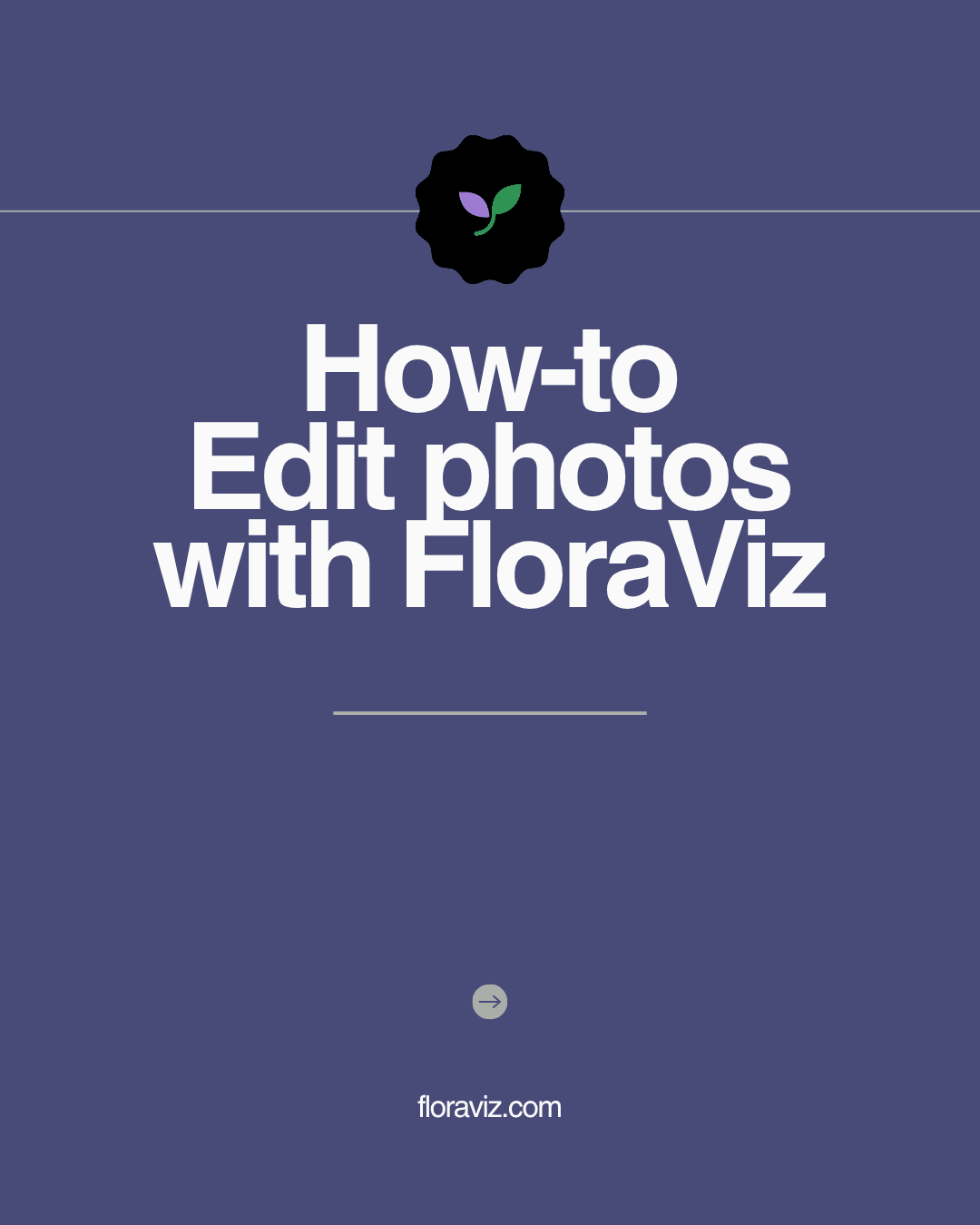 FloraViz Tutorial: Edit Images by Describing Changes