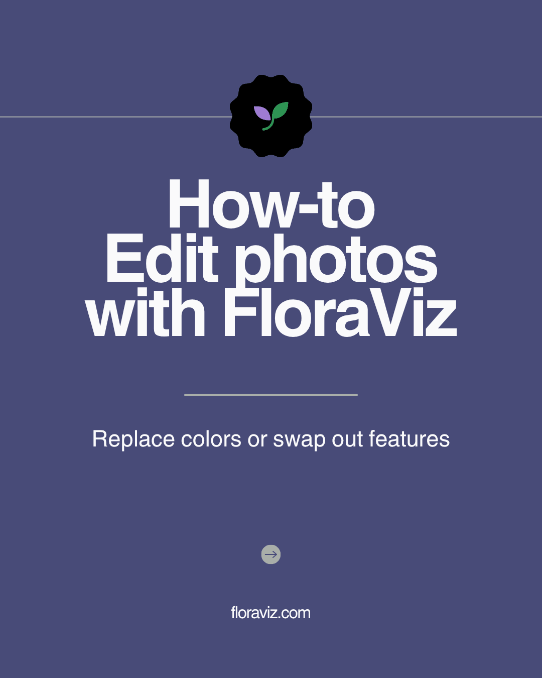 FloraViz Tutorial: Replace Colors - Ribbon