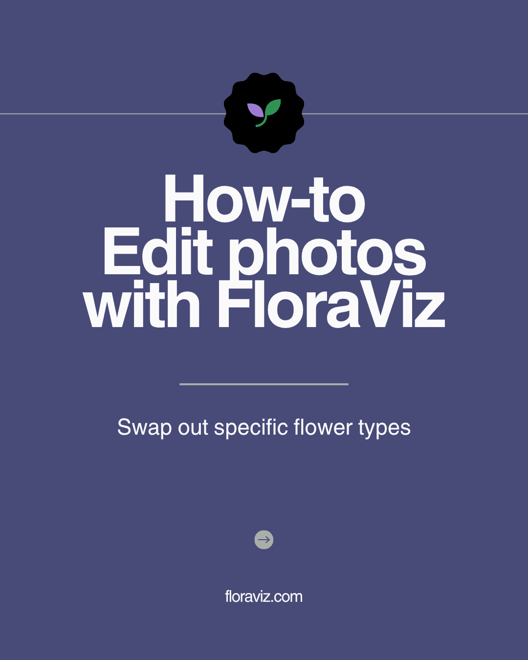 FloraViz Tutorial: Swap Specific Flower Colors
